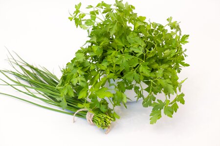 Herbs plant food photo