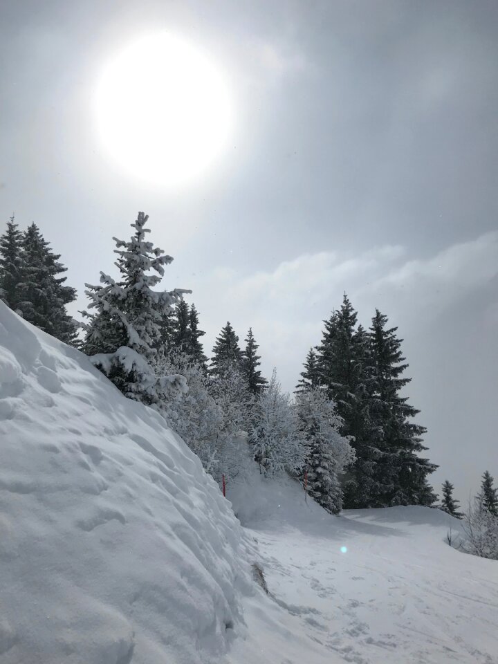 White landscape snowy