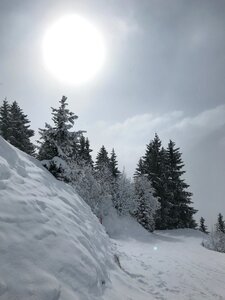 White landscape snowy photo