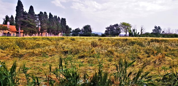 Landscape panorama sky