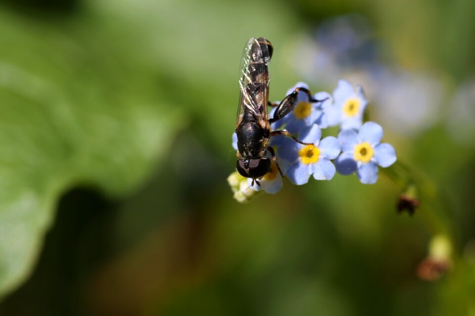 Little spring summer