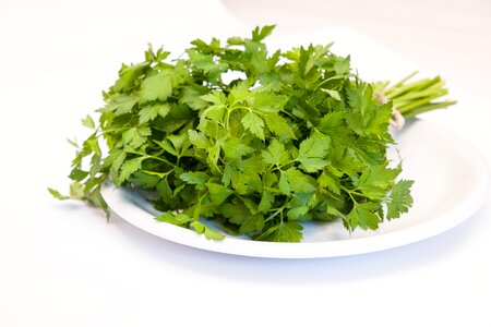Food culinary herbs vitamins photo