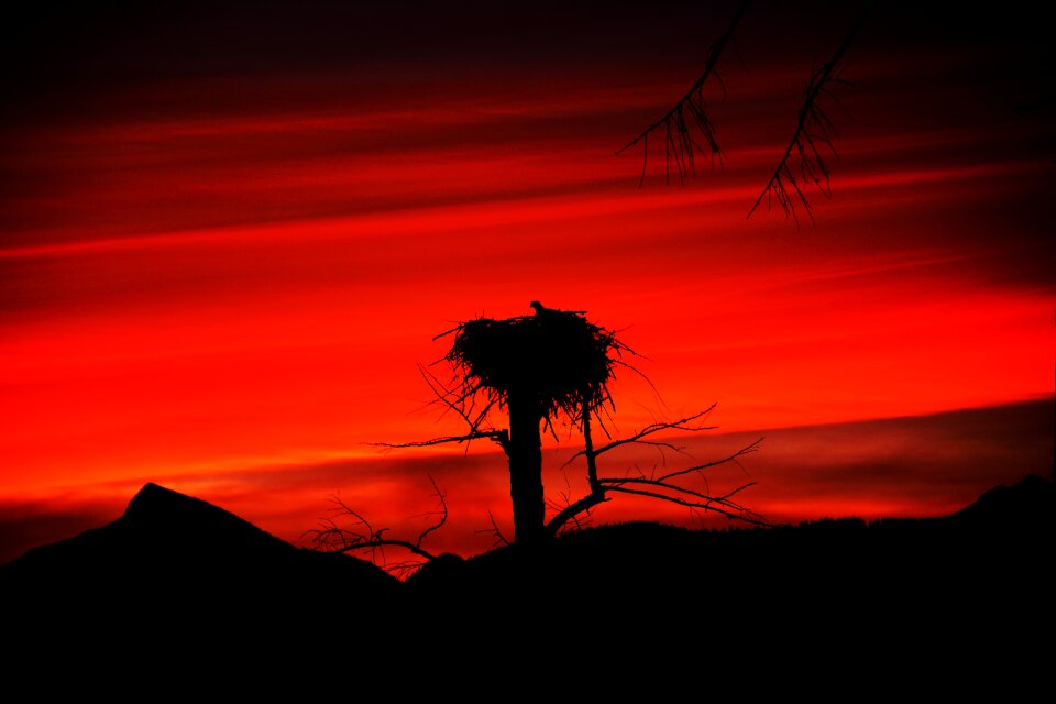 Sun sunset night