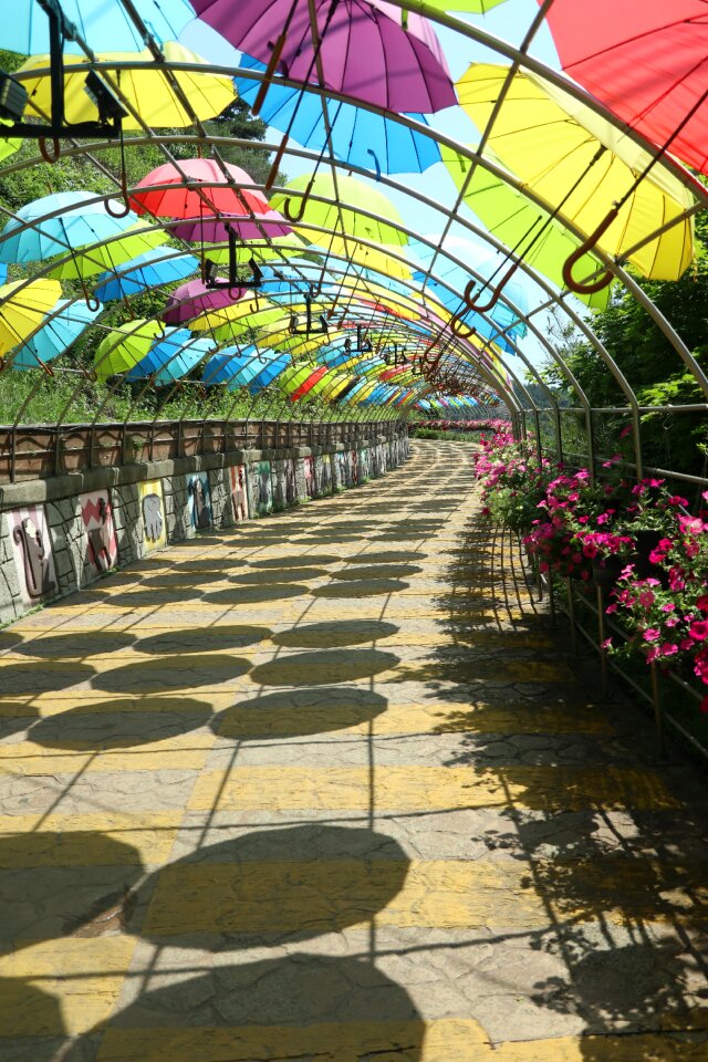 Summer trails scenery