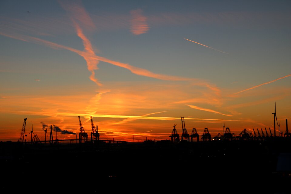 Cranes evening sunset