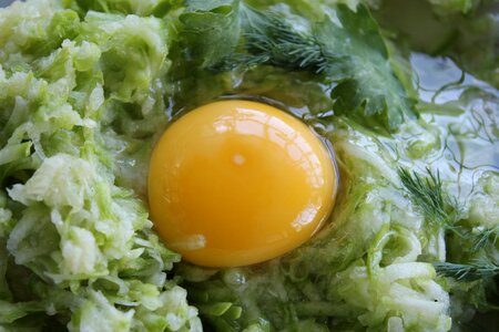 Egg closeup macro