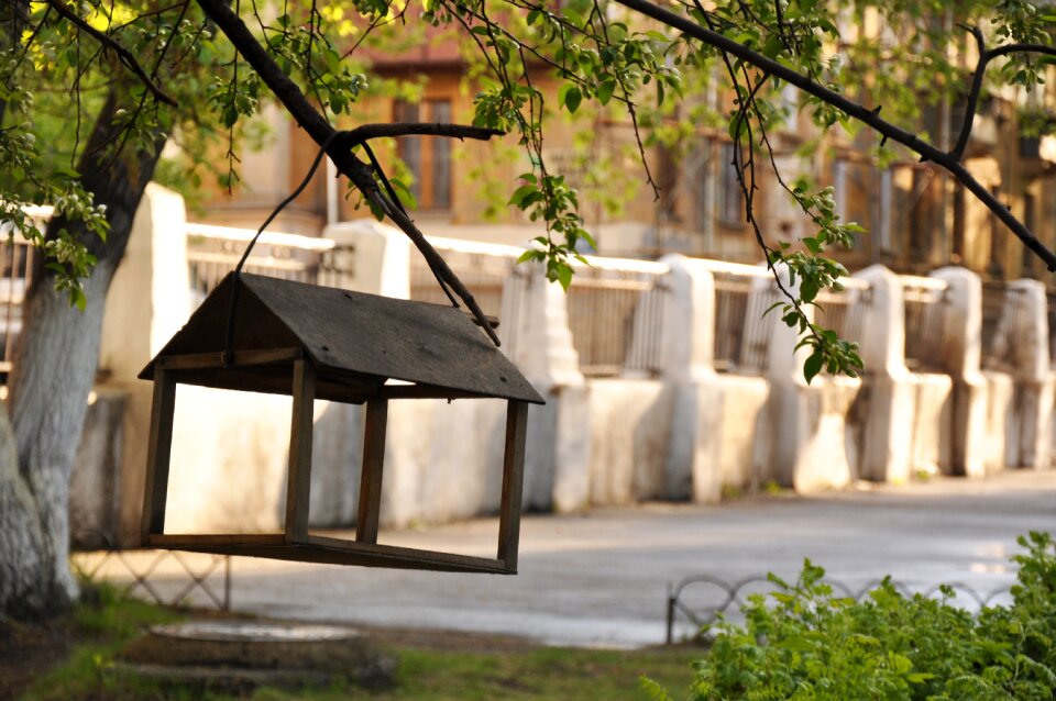 House for birds vintage old