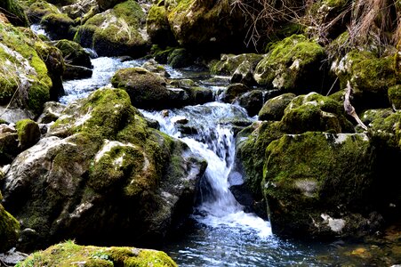 Stream nature mountain river