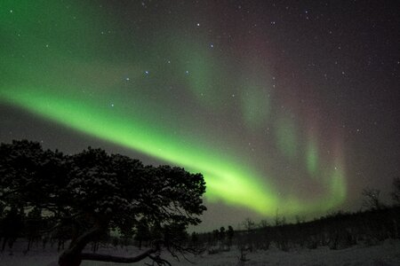 Sky winter aurora