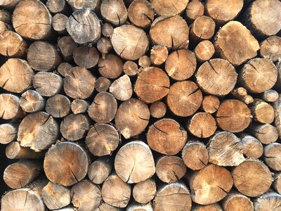 Wooden lumber cut photo