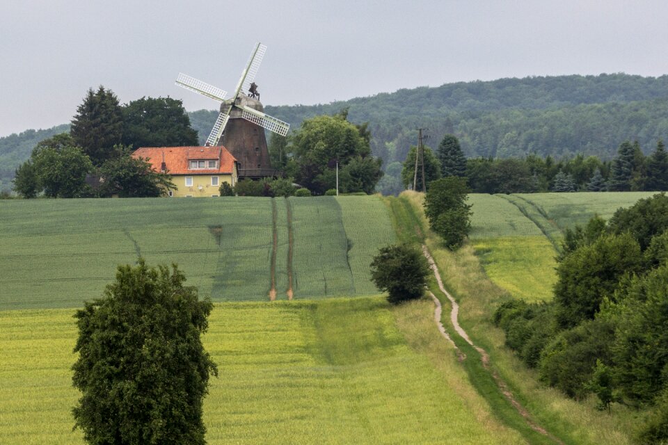 Nature windmill historically