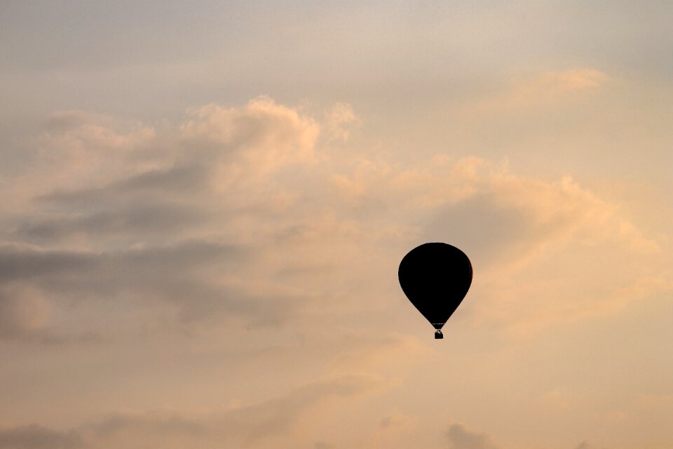 Burner ballooning sleeve