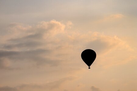 Burner ballooning sleeve photo