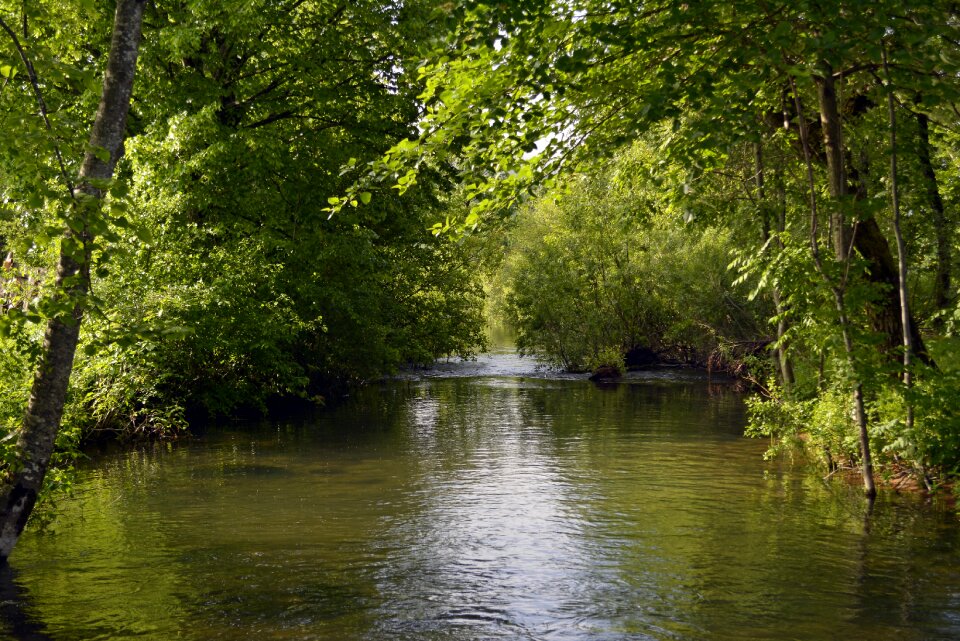 Nature landscape green
