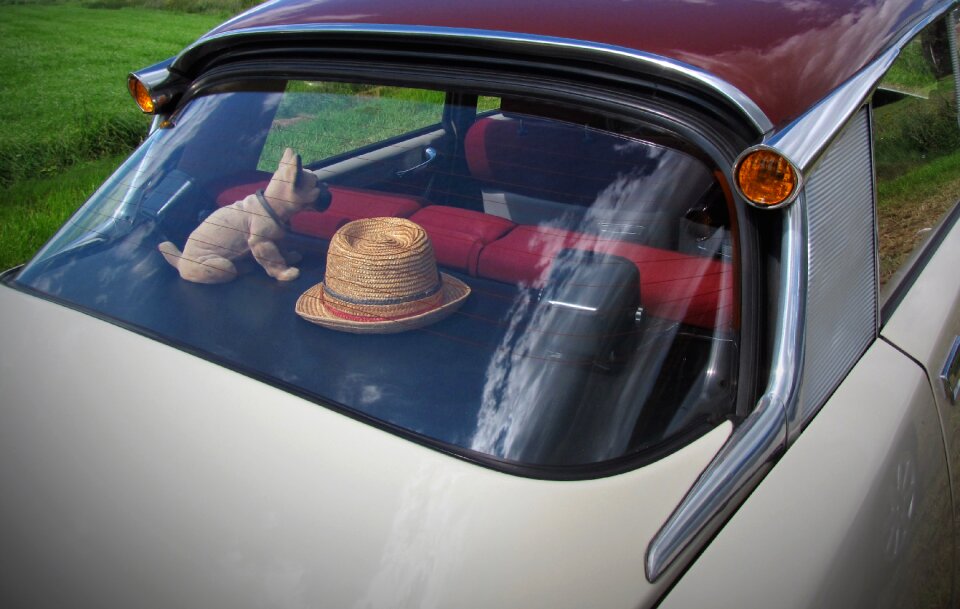 Nodding dog back window decks car window