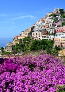 Positano bougainvillea costiera
