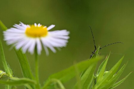 Hidden macro nature