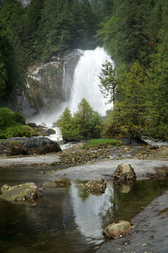 Canada forest water
