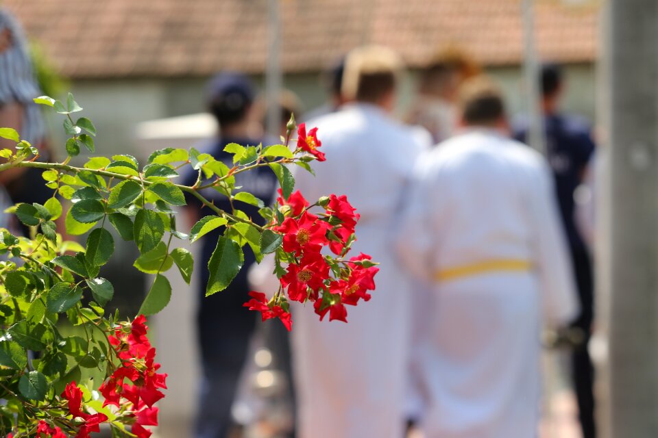Procession tradition holiday
