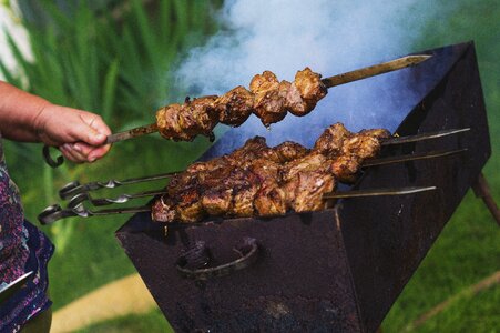 Mangal picnic food photo