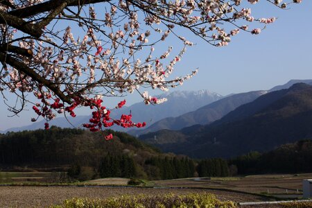 井戸尻 kai-komagatake shinshu photo