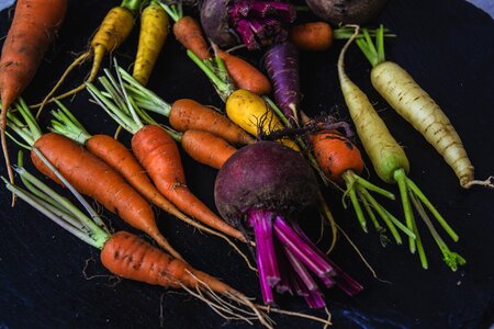 Fresh natural vegetarian