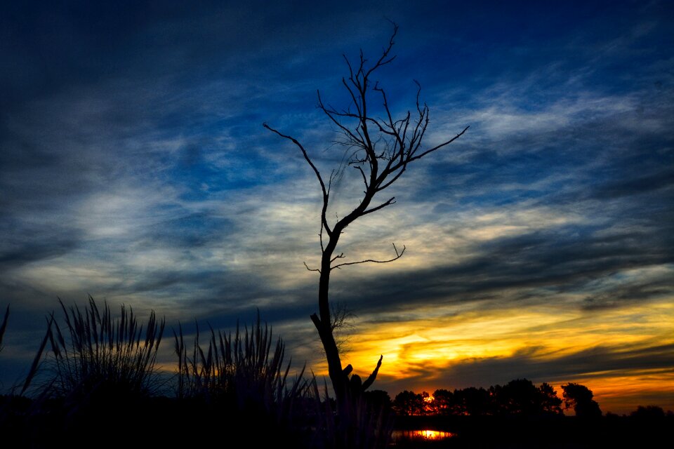 Nature natural landscape sky