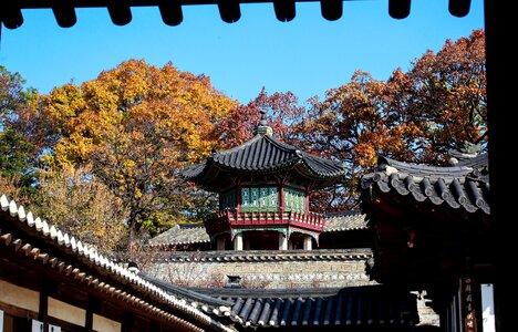 Changdeokgung autumn sky mono photo