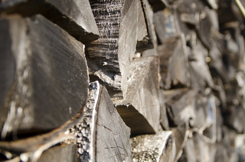 Piled firewood wood pile