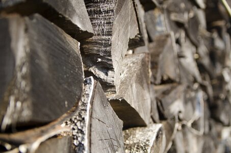Piled firewood wood pile photo