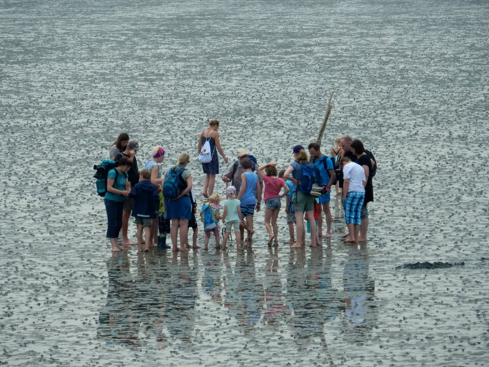 Wadden sea north sea watt hike