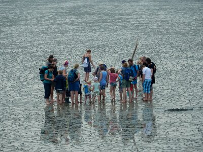 Wadden sea north sea watt hike photo