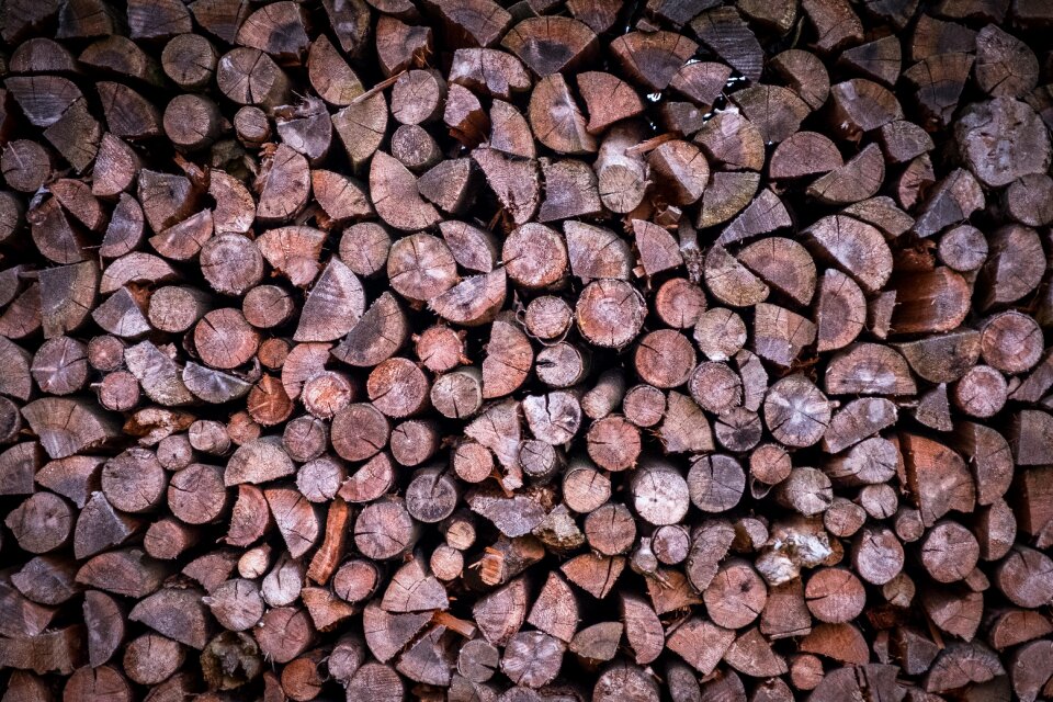 Tree trunks firewood holzstapel