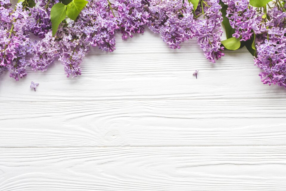 Flowers beautiful clean