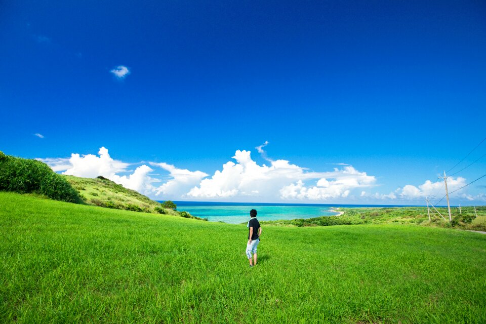 Sea okinawa meadow