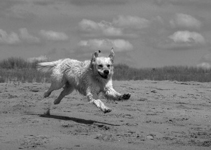 Male run coat white