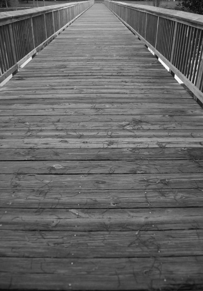 Long walk wooden walk way nobody
