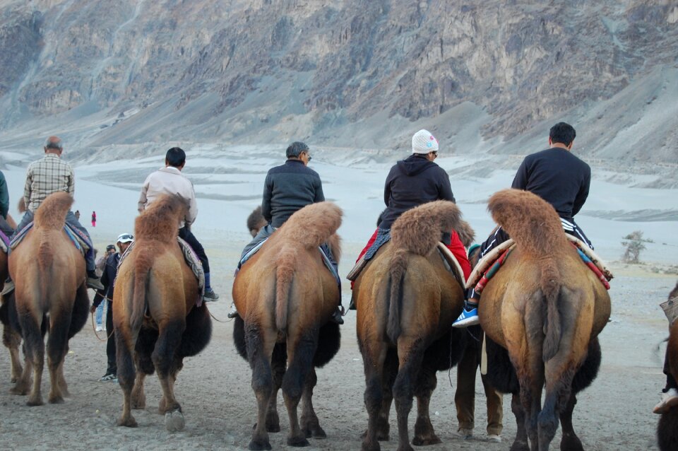 Vally valley india