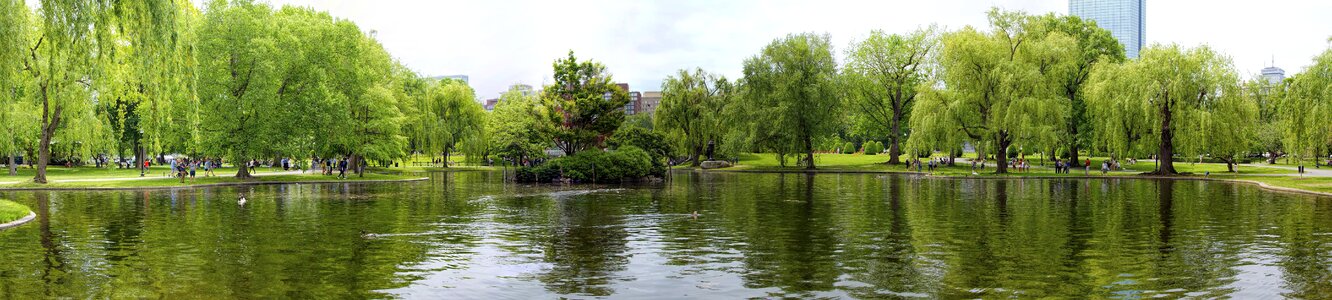City urban pond photo