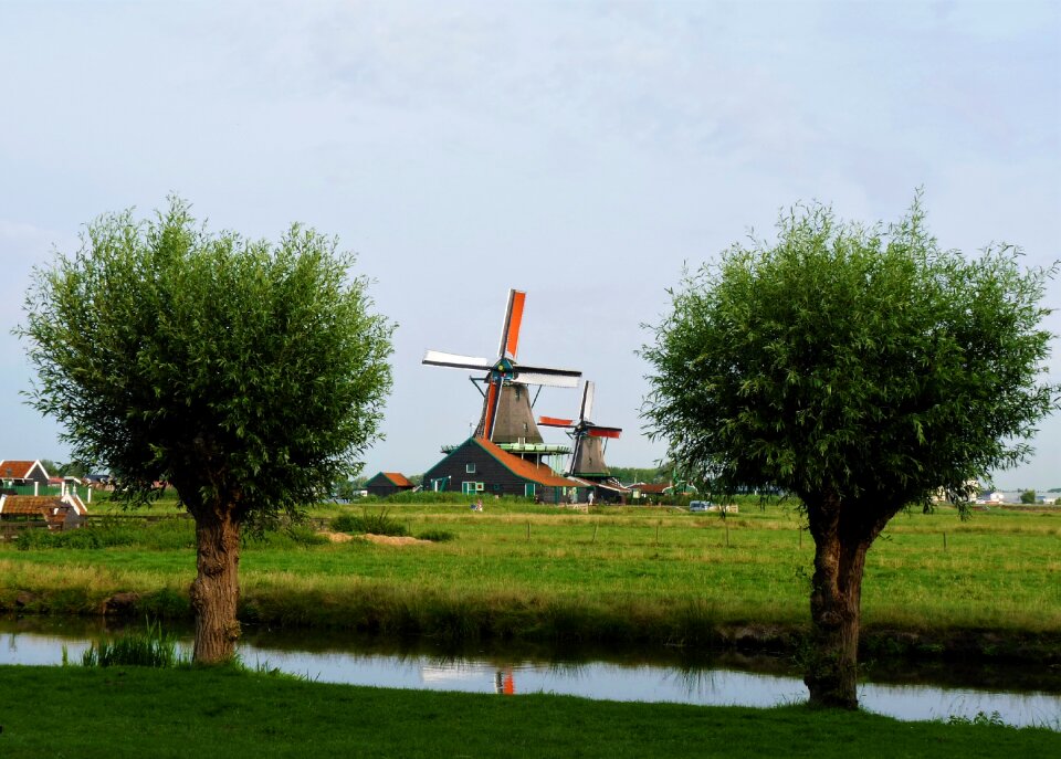 Trees channel windmills