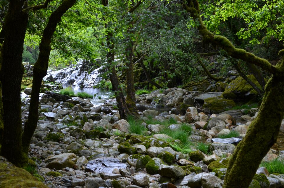 Rio teixeira water nature