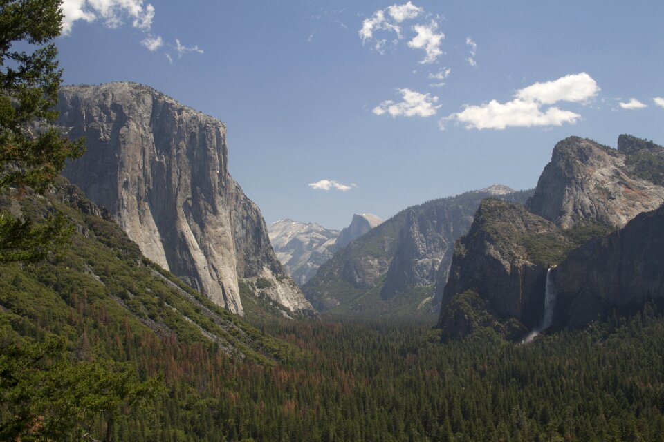 Park landscape california