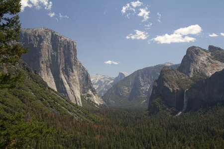 Park landscape california photo