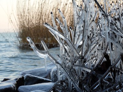 Hungary lake cold photo