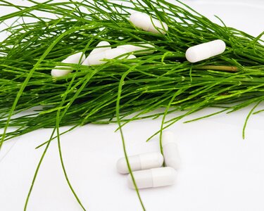 Forest plant encapsulate dietary supplements