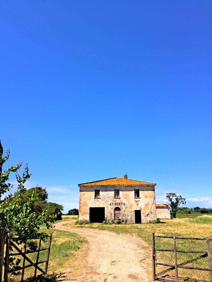 Farm cecina summer
