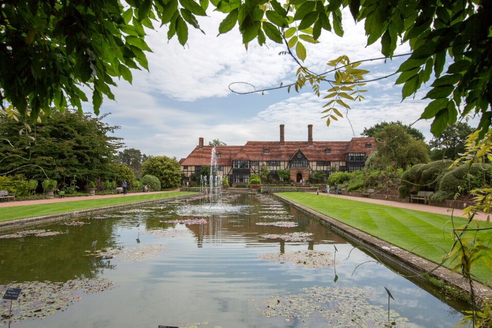 Garden botanical pond