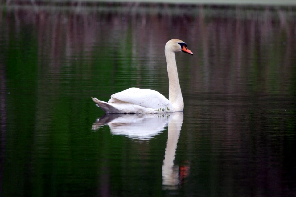 Nature lake park