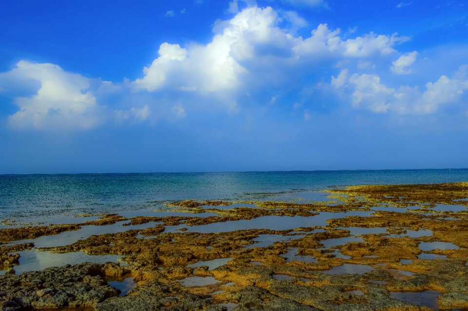Horizon nature shore