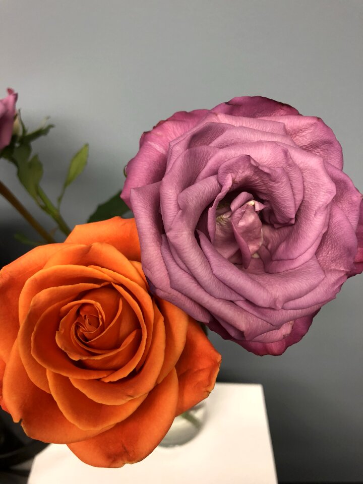 Anniversary gift romance